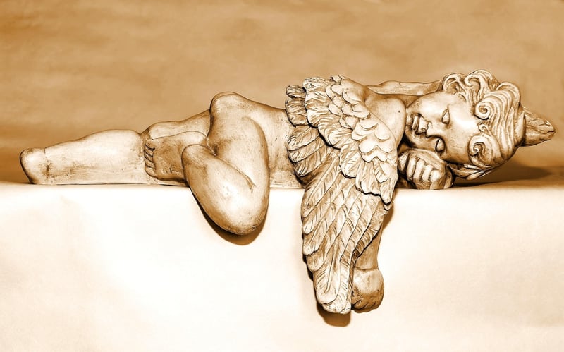 Angel Investor